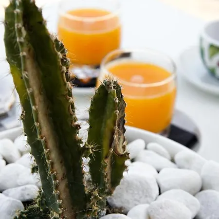 Montevideo Camino De Santiago & Beachfront Nigran