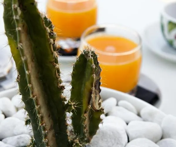 Montevideo Camino De Santiago&beachfront Nigrán